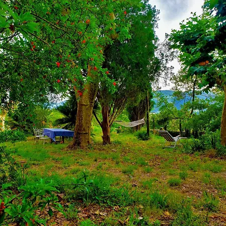 De Benedetti ゲストハウス 3*