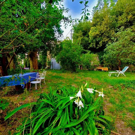 De Benedetti ゲストハウス