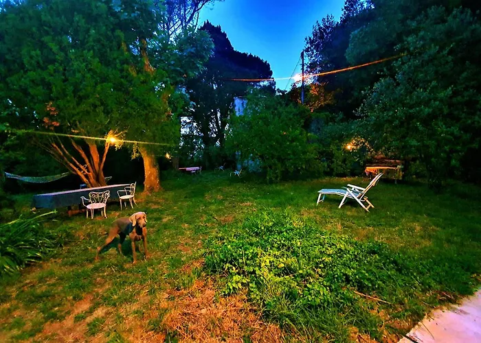 De Benedetti Affittacamere