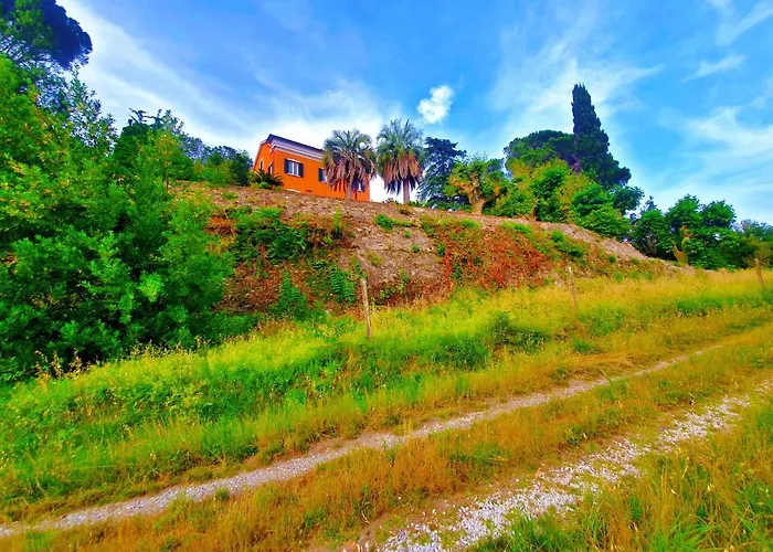 De Benedetti Pensión