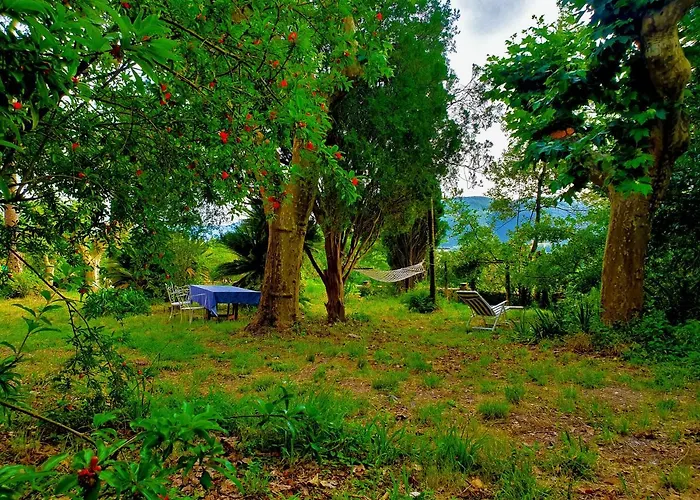 De Benedetti Pensión 3*